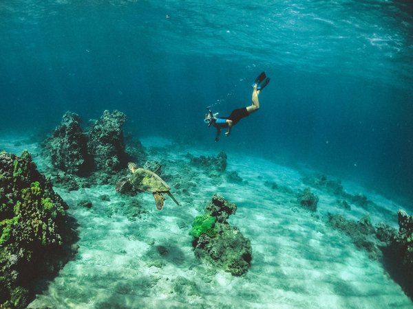 Quels sont les meilleurs spots pour une plongée sous-marine dans les eaux turquoise des Bahamas ?